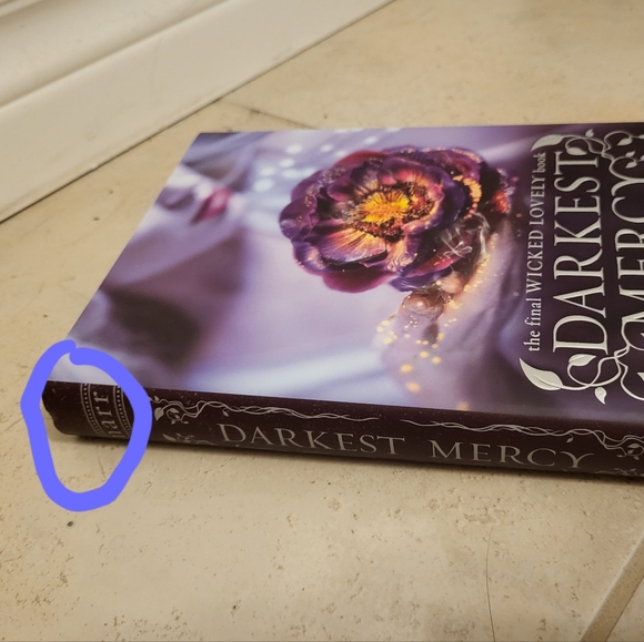 HARDCOVER Darkest Mercy by Melissa Marr - Picture 3 of 10